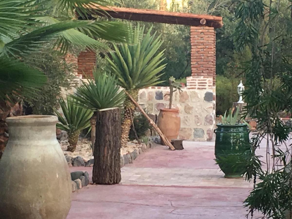 ويرڭان Sel D Ailleurs, Atlas Mountain Retreat - Adults Only المظهر الخارجي الصورة