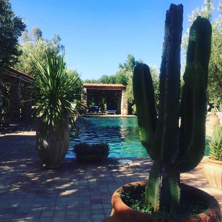 ويرڭان Sel D Ailleurs, Atlas Mountain Retreat - Adults Only المظهر الخارجي الصورة