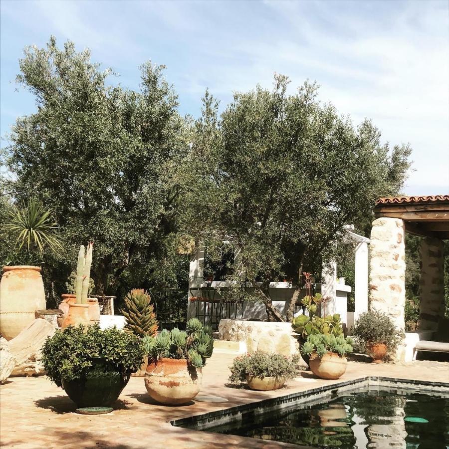 ويرڭان Sel D Ailleurs, Atlas Mountain Retreat - Adults Only المظهر الخارجي الصورة