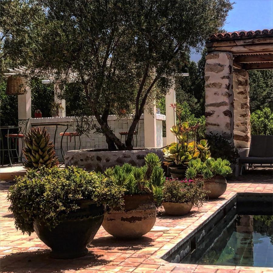ويرڭان Sel D Ailleurs, Atlas Mountain Retreat - Adults Only المظهر الخارجي الصورة