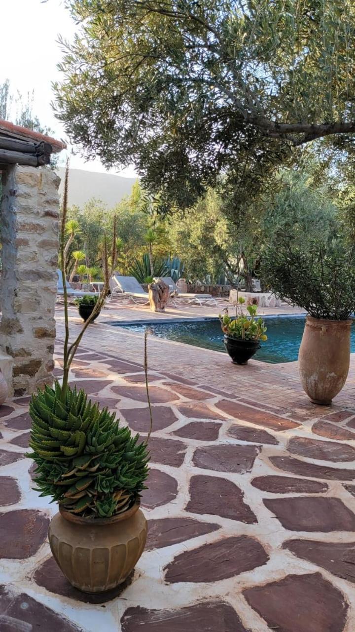 ويرڭان Sel D Ailleurs, Atlas Mountain Retreat - Adults Only المظهر الخارجي الصورة