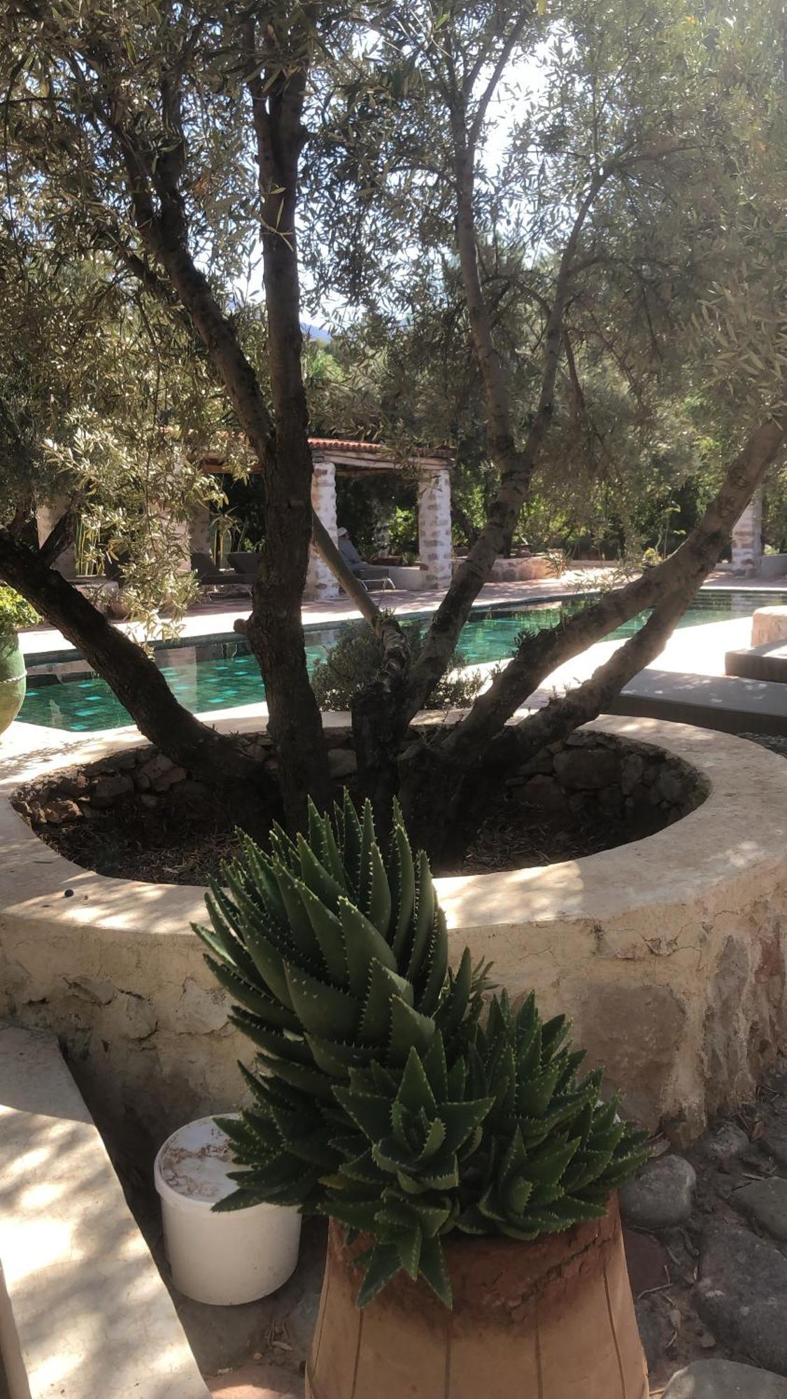 ويرڭان Sel D Ailleurs, Atlas Mountain Retreat - Adults Only المظهر الخارجي الصورة