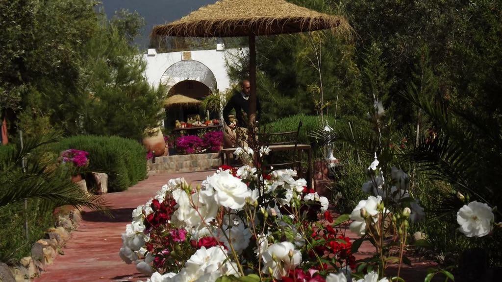 ويرڭان Sel D Ailleurs, Atlas Mountain Retreat - Adults Only المظهر الخارجي الصورة