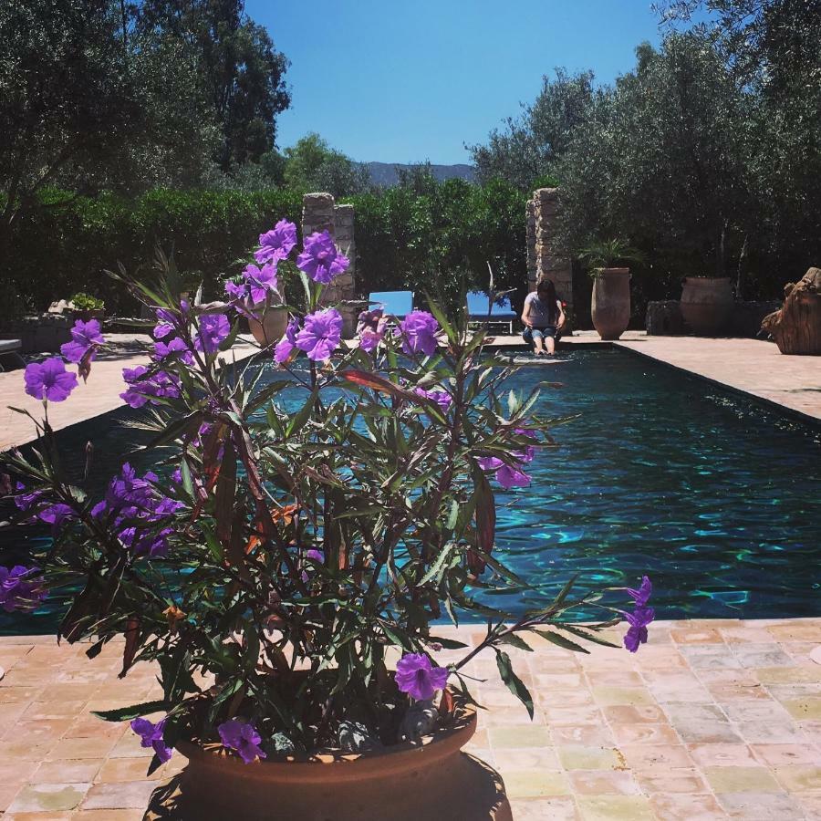 ويرڭان Sel D Ailleurs, Atlas Mountain Retreat - Adults Only المظهر الخارجي الصورة