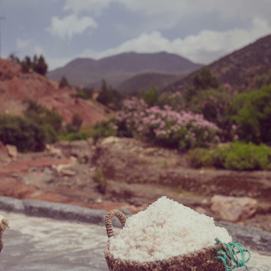 ويرڭان Sel D Ailleurs, Atlas Mountain Retreat - Adults Only المظهر الخارجي الصورة